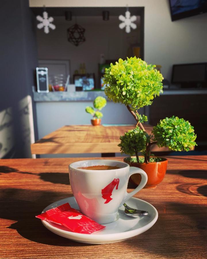 Binta Hostel Vranje Dış mekan fotoğraf